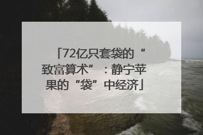 72亿只套袋的“致富算术”：静宁苹果的“袋”中经济