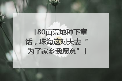 80亩荒地种下童话，珠海这对夫妻“为了家乡我愿意”