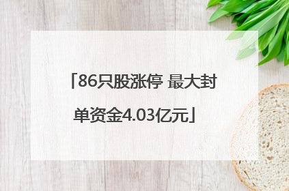 86只股涨停 最大封单资金4.03亿元