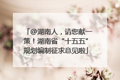 @湖南人，请您献一策！湖南省“十五五”规划编制征求意见啦