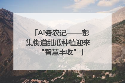 AI务农记——彭集街道甜瓜种植迎来“智慧丰收”