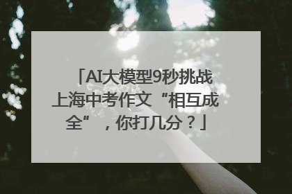 AI大模型9秒挑战上海中考作文“相互成全”，你打几分？