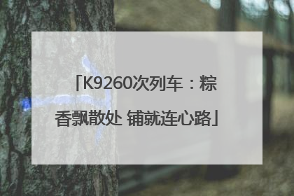 K9260次列车：粽香飘散处 铺就连心路