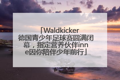 Waldkicker德国青少年足球赛圆满闭幕，指定营养伙伴inne因你陪伴少年前行
